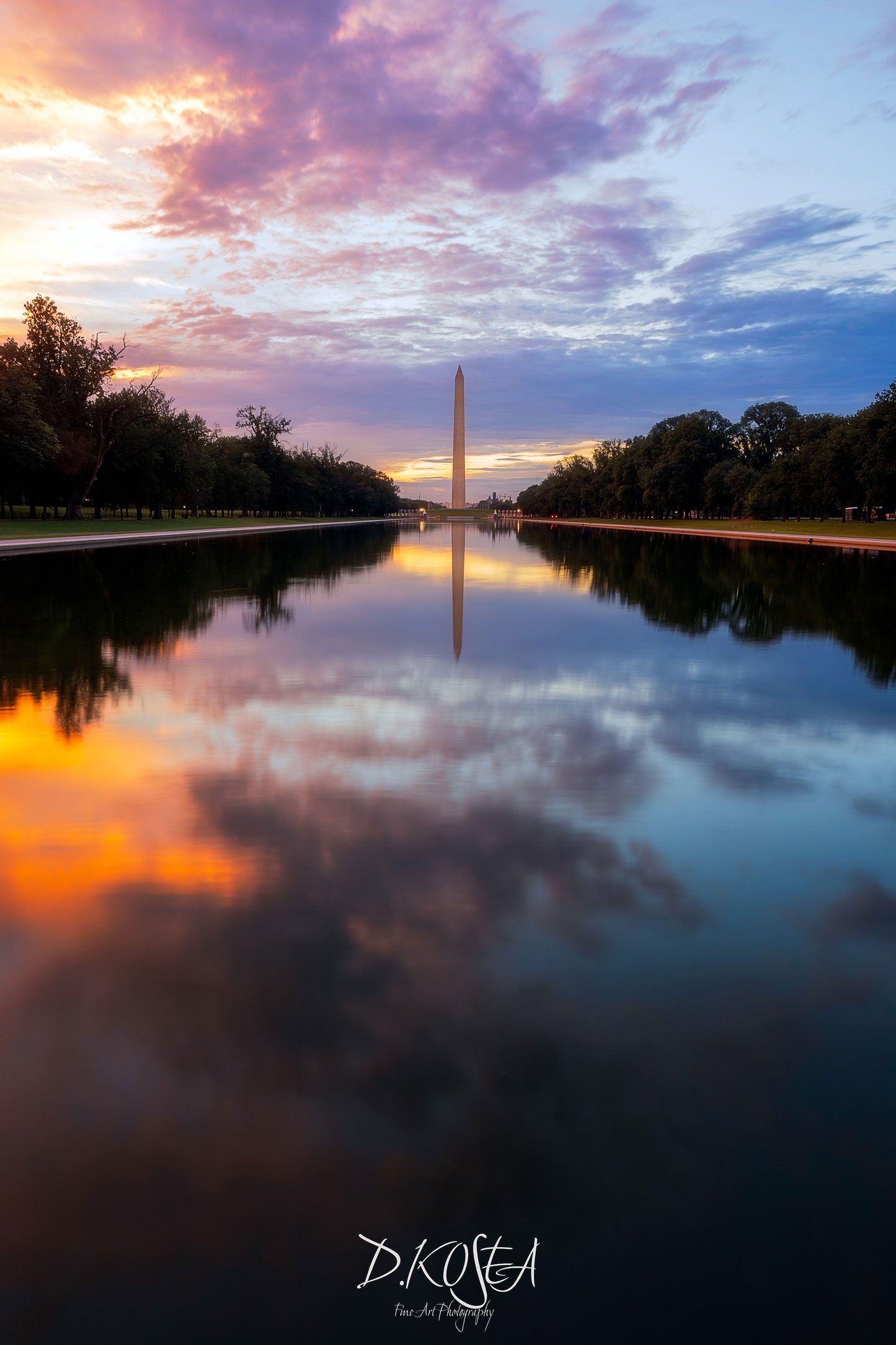 DC Reflections-Portrait