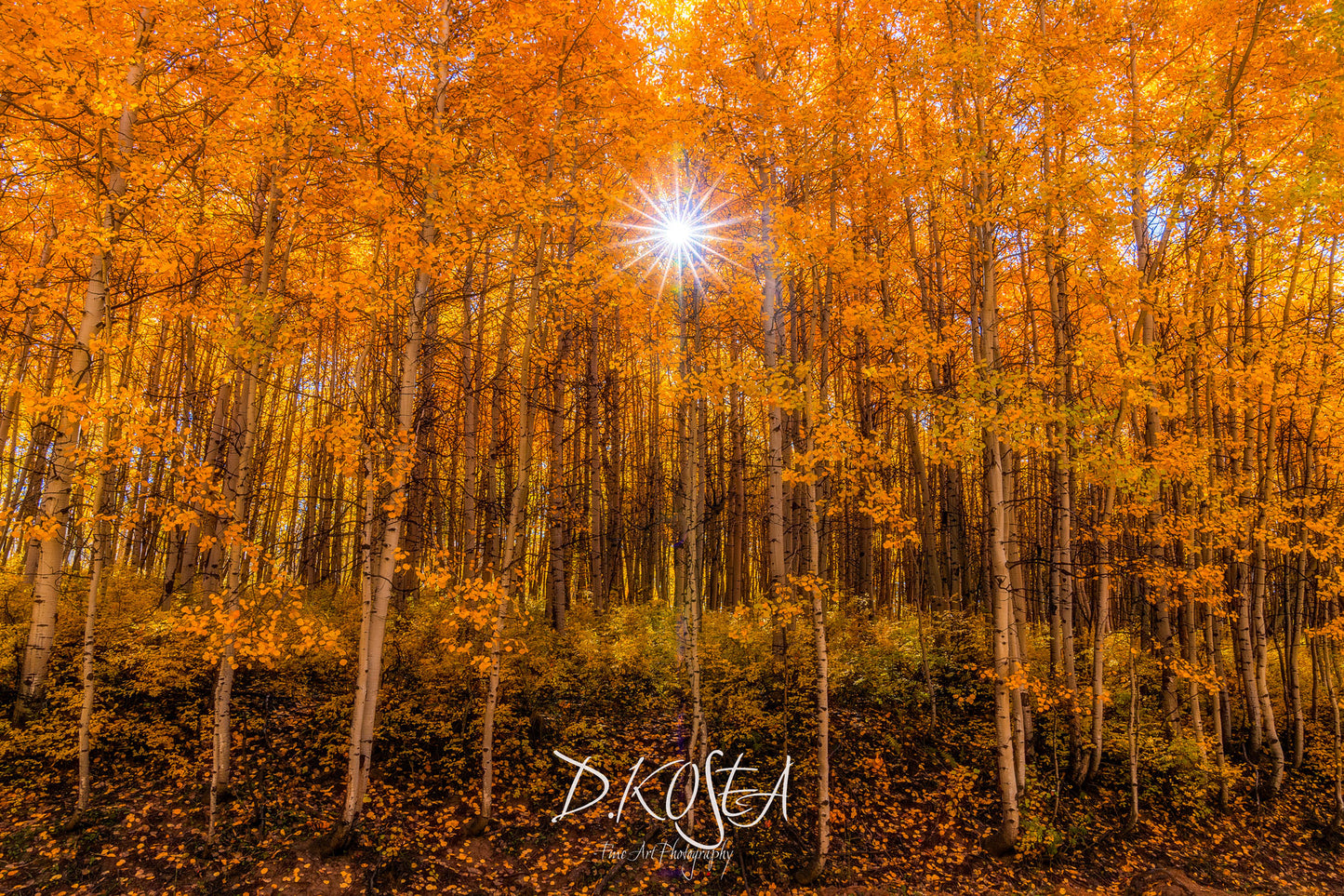 Golden Light