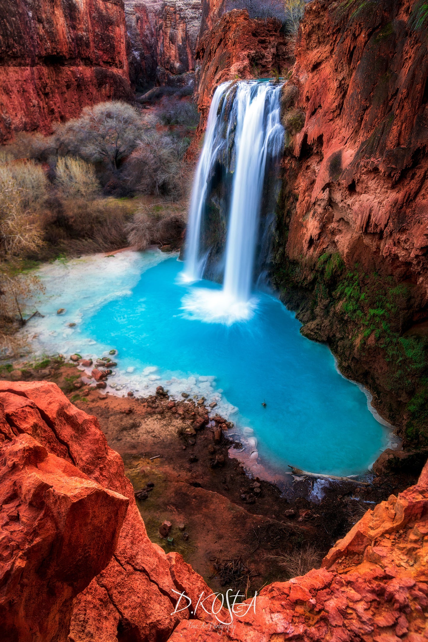 Havasupai Beauty