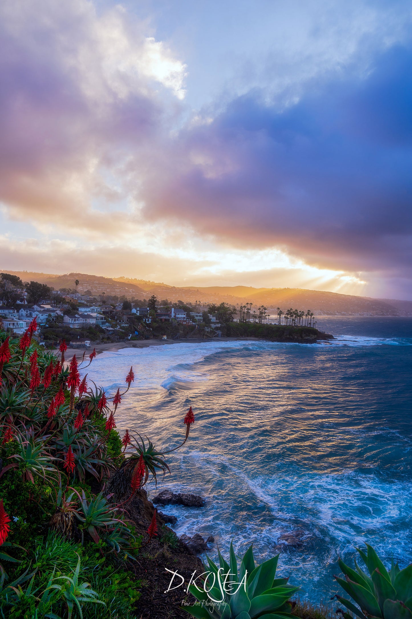 Laguna Morning