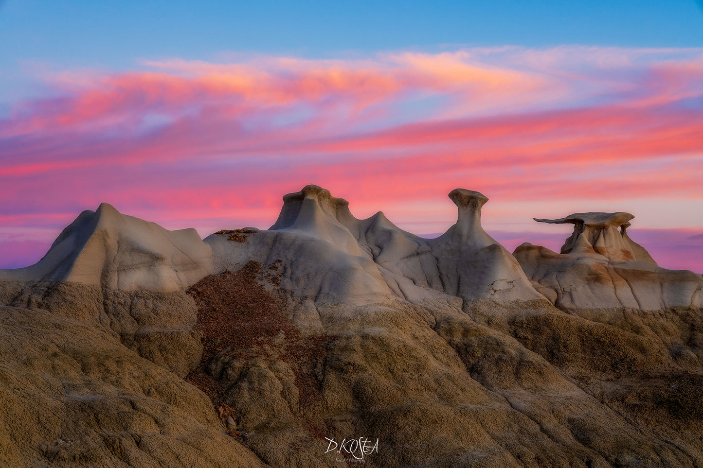 New Mexico Skies