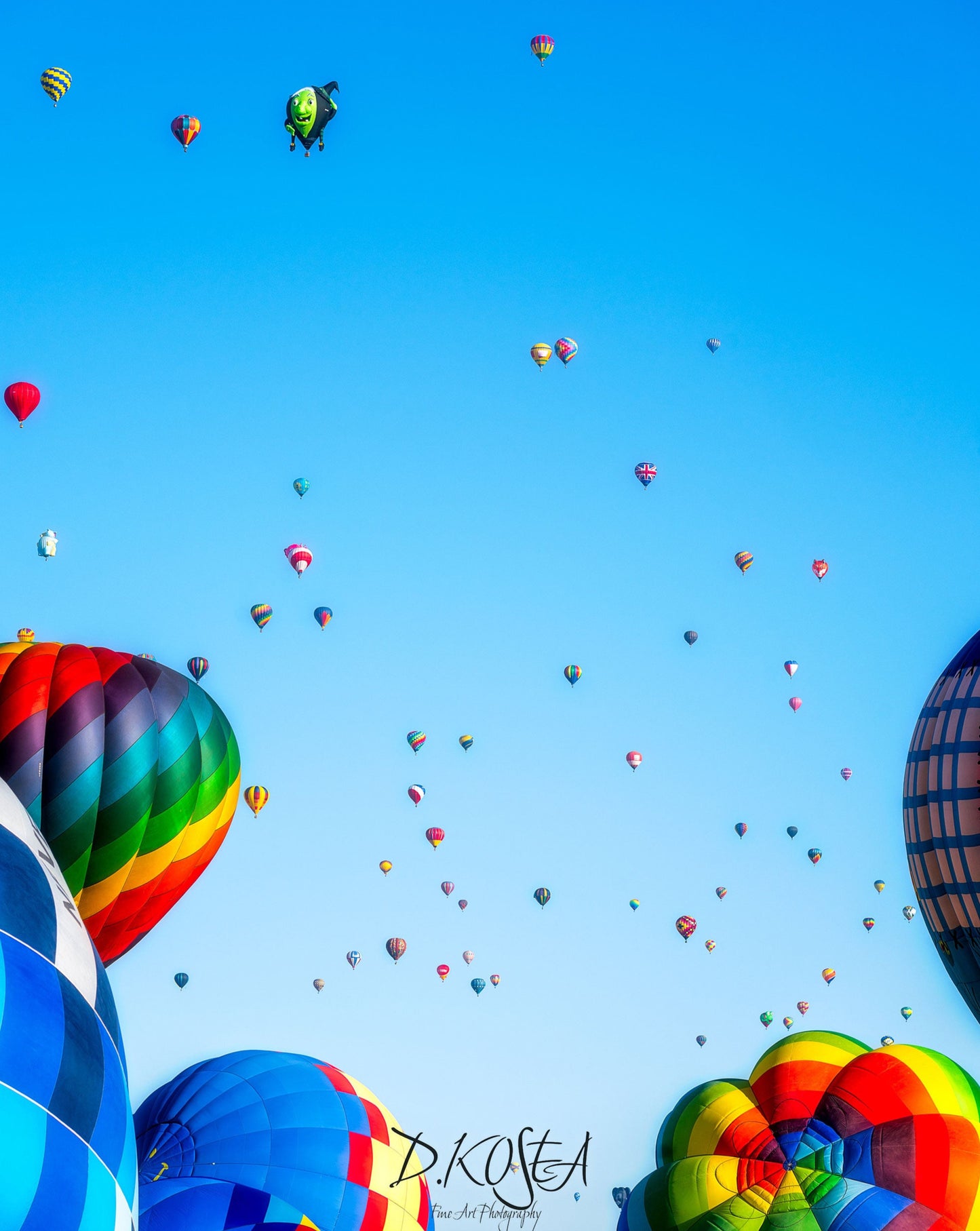 Balloon Filled Skies